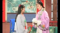 庐剧《玉蜻蜓4》下载