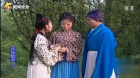 庐剧《苦命娘亲》2总六集