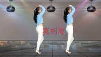 动感DJ热门广场舞《莫相离》背面教学