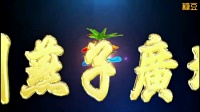 广场舞《孔雀公主》傣族风背面