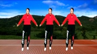 富平百合广场舞《为了家人把身体搞好》