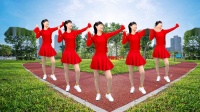 燕子广场舞《你是我今生最爱的女孩》动感节