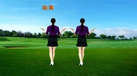 广场舞《感情在降温》背面64步