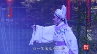 越剧《真假驸马》全剧 全部字幕 嵊州越艺越剧团下载