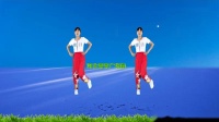 广场舞《想你的时候问月亮》演示分解