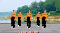 DJ广场舞《心头肉》