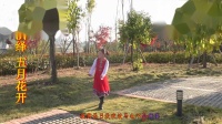 五月花开广场舞《相伴在草原》