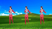 广场舞《你潇洒我漂亮》新16步