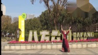 雪冰青春活力广场舞《天鹅湖畔》背面演示
