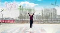 好心情蓝蓝广场舞《中国范》原创分解