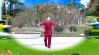 幸福家园广场舞《走天涯》