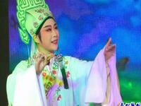 越剧《梁祝》春燕邻子于菲尼的世界下载