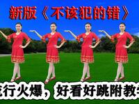 DJ广场舞《不该犯的错》好看好跳真好学