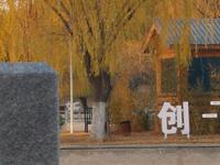 反诈进行时