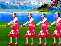 广场舞《我从雪山来》简单易学附教学