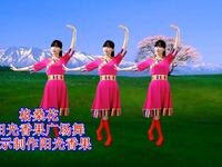 草原情歌广场舞《格桑花》32步优美大气