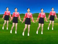 DJ新歌广场舞《感情在降温》旋律动听