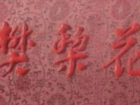 豫剧《樊梨花》河南省开封市豫剧院演出下载