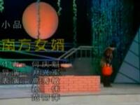 南方女婿下载