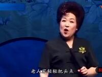 河南坠子《慈母泪》选段