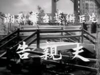 潮剧《告亲夫》广东潮剧院演出下载