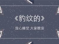 豹纹的
