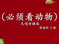 必须看动物