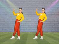 广场舞《不爱我就别欺骗我》DJ热歌背面教学