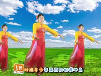 广场舞《我们还能不能回到从前》正背面演示