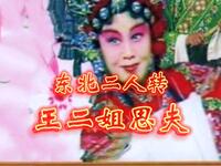 东北二人转《王二姐思夫》下载