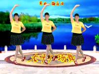 广场舞《梅花泪》