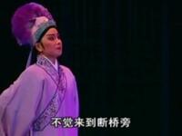 潮剧折子戏《下金山》林燕云饰演许仙