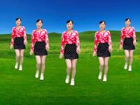DJ伤感情歌广场舞《爱的誓言早已过期》歌醉