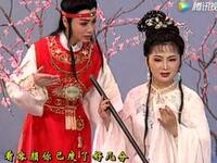 黄梅戏《红楼梦》选场共读西厢下载
