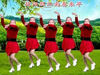 广场舞《拈花一笑》简单好看附教学