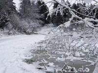昆曲《评雪辨踪》《彩楼记泼粥》下载