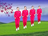 忧伤情歌广场舞《杏花落》