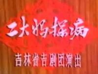 二人转《二大妈探病》吉林省民间艺术团演出
