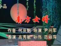 南方女婿下载