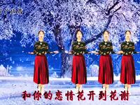 情歌广场舞《漫天相思飘成雪》