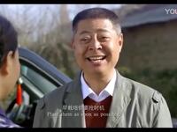 河南豫剧曲剧折子戏《找寡妇》