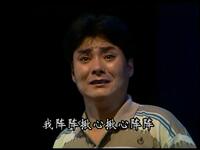 眉户现代戏《留下的真情》全本下载