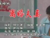 二人转《离婚夫妻》吉林省民间艺术团演出下载