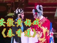 安徽黄梅戏《秦香莲》团风县青年黄梅戏艺术团演出下载