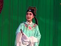 山东茂腔《赵美蓉观灯》