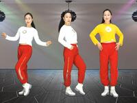广场舞《不爱我就别欺骗我》帅气动感
