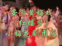 黄梅戏《红楼梦》小梅花剧团版下载