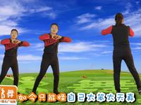 广场舞《感情在降温》正反面演示