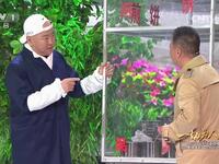 危机时刻下载