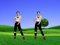 中老年肩颈腰腹健身操《杏花落dj》下载